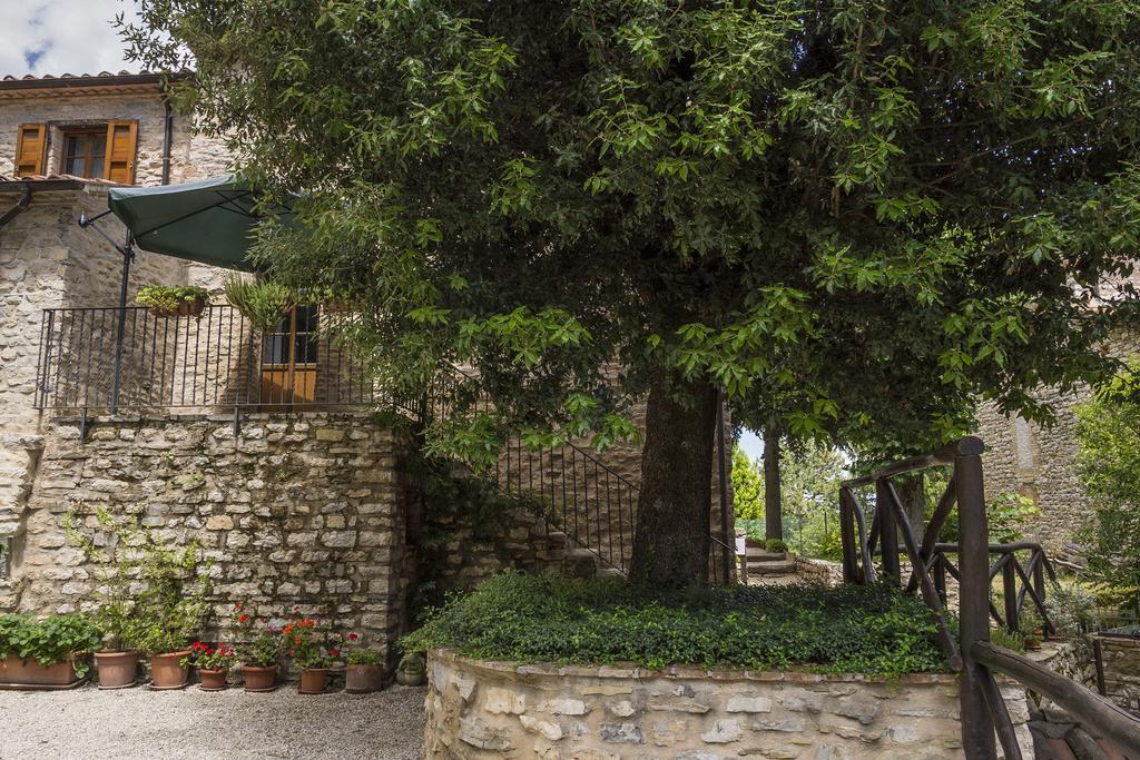 Agriturismo Monte Acuto Umbertide Rum bild